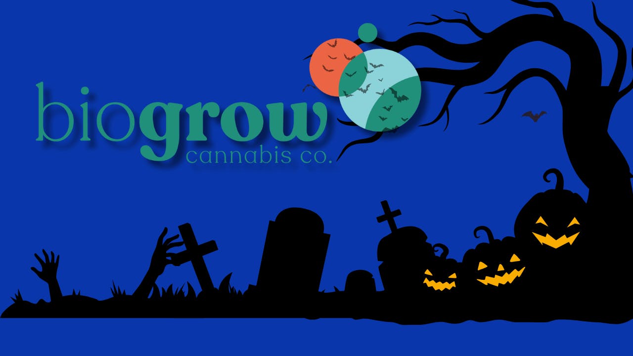 Biogrow Cannabis Co. listing banner