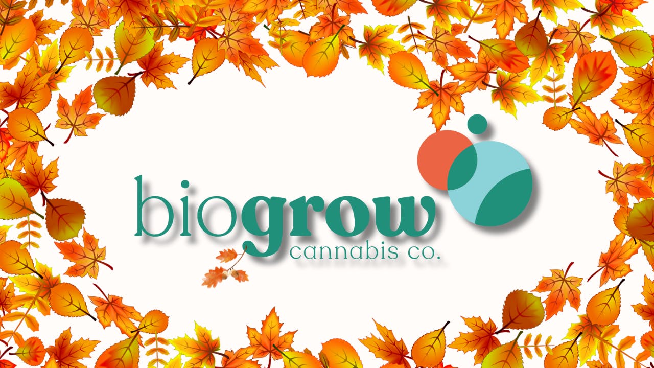 Biogrow Cannabis Co. listing banner