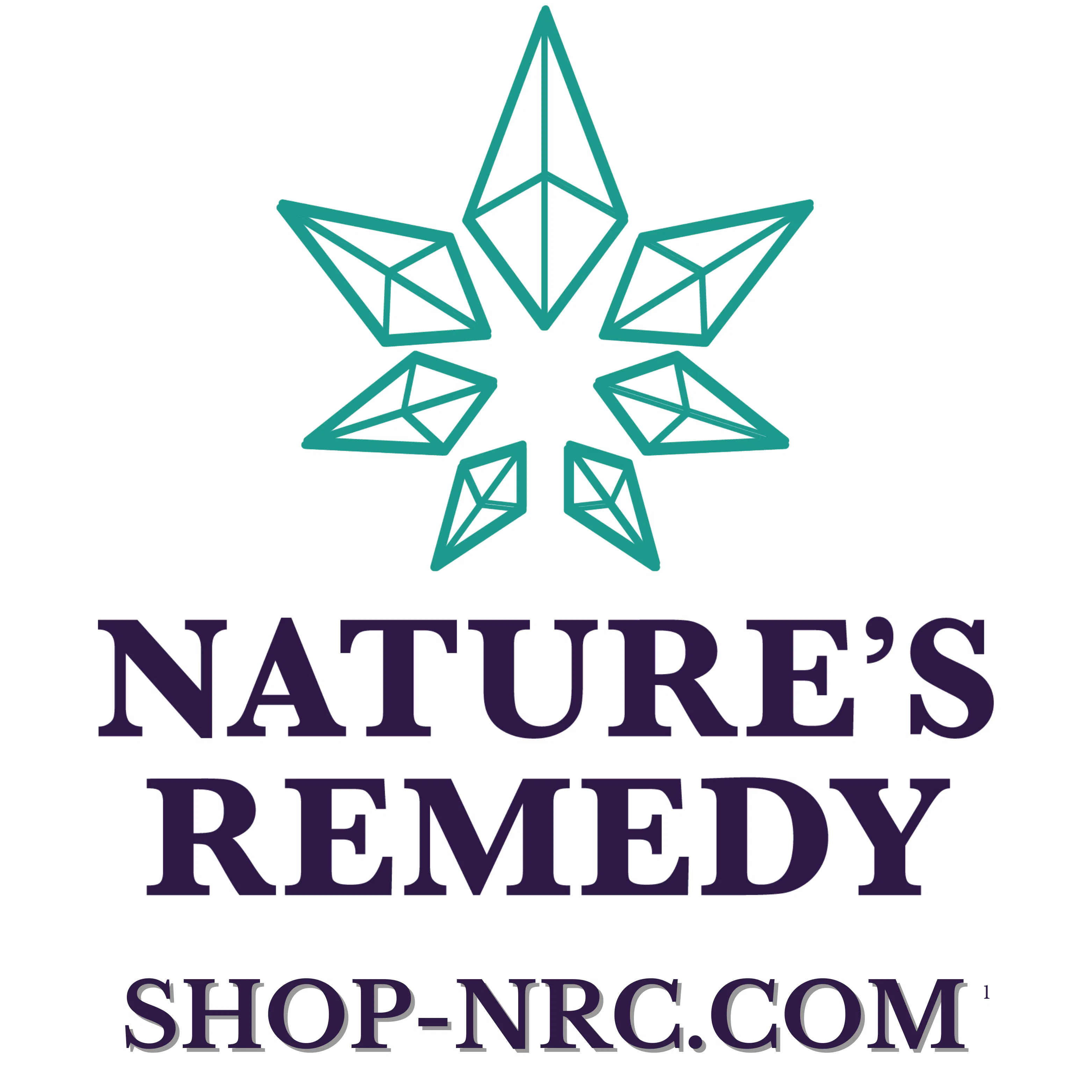 Nature's Remedy - Ferndale's Hidden Gem