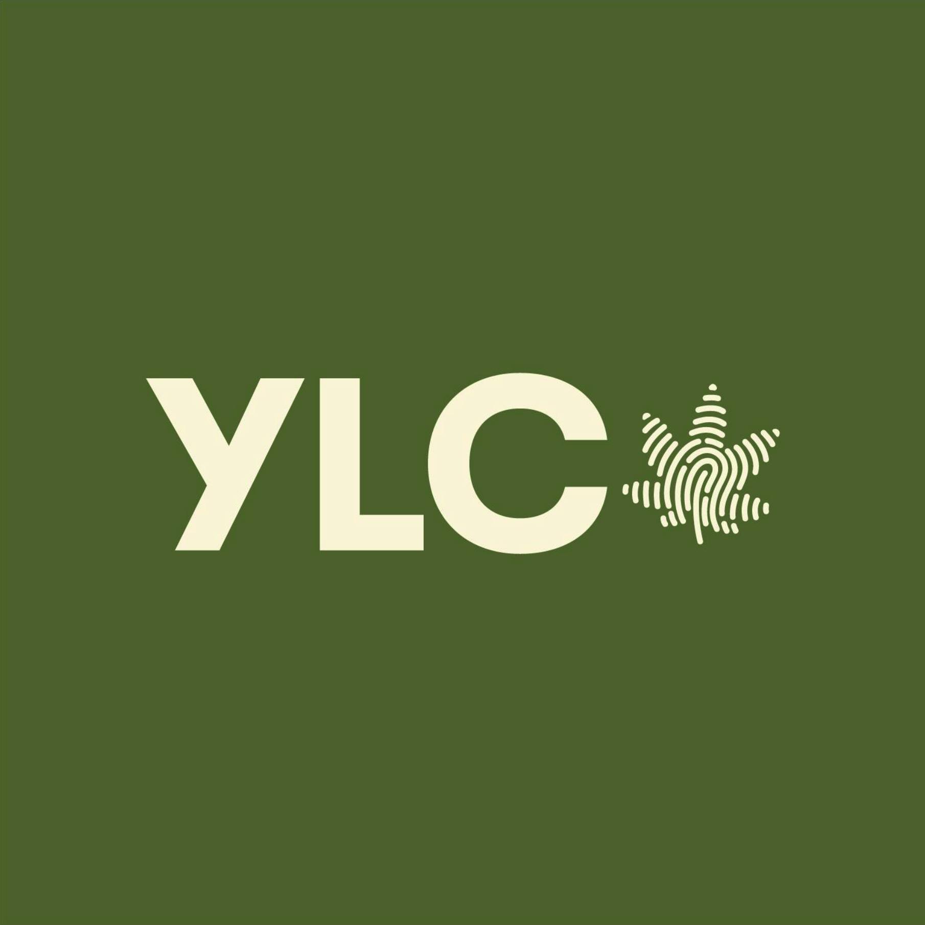 Your Local Cannabis - Newcastle