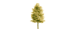 The Woods Cannabis