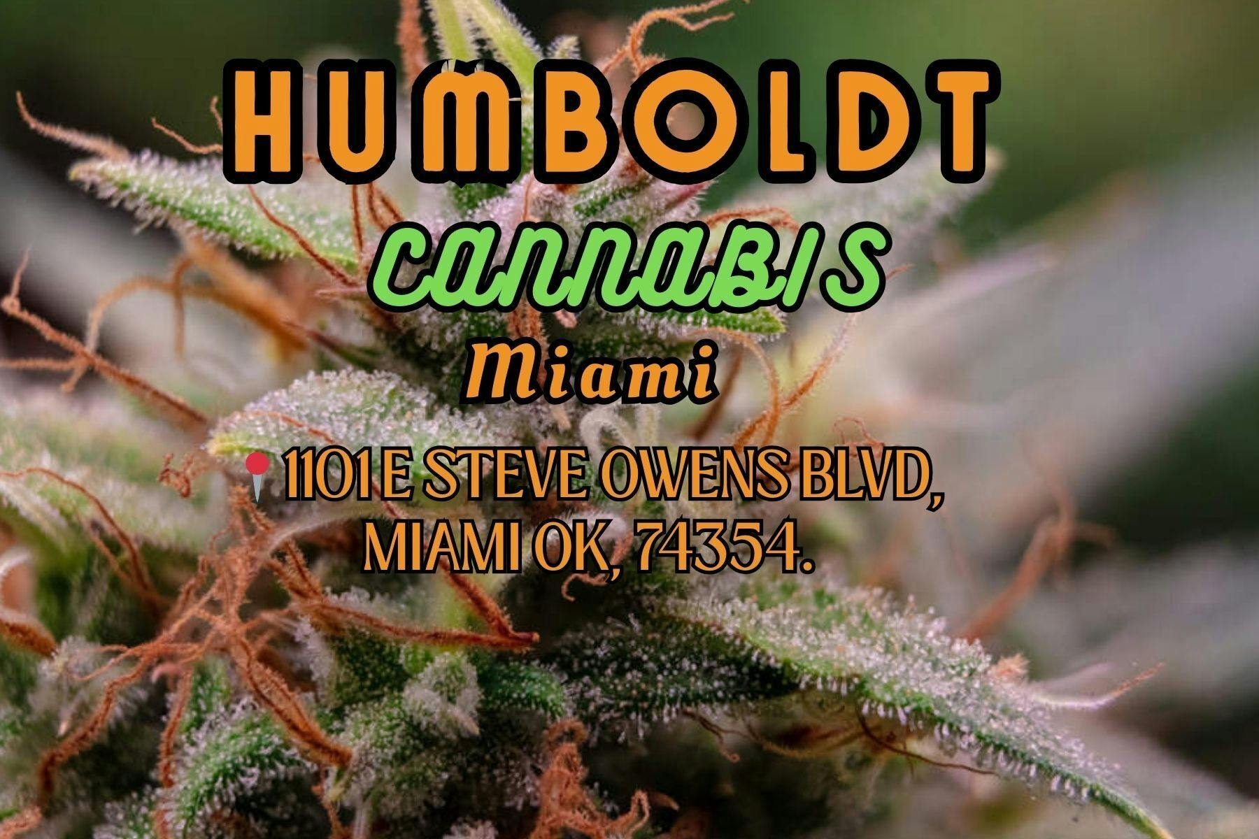 Humboldt Cannabis - Miami listing banner