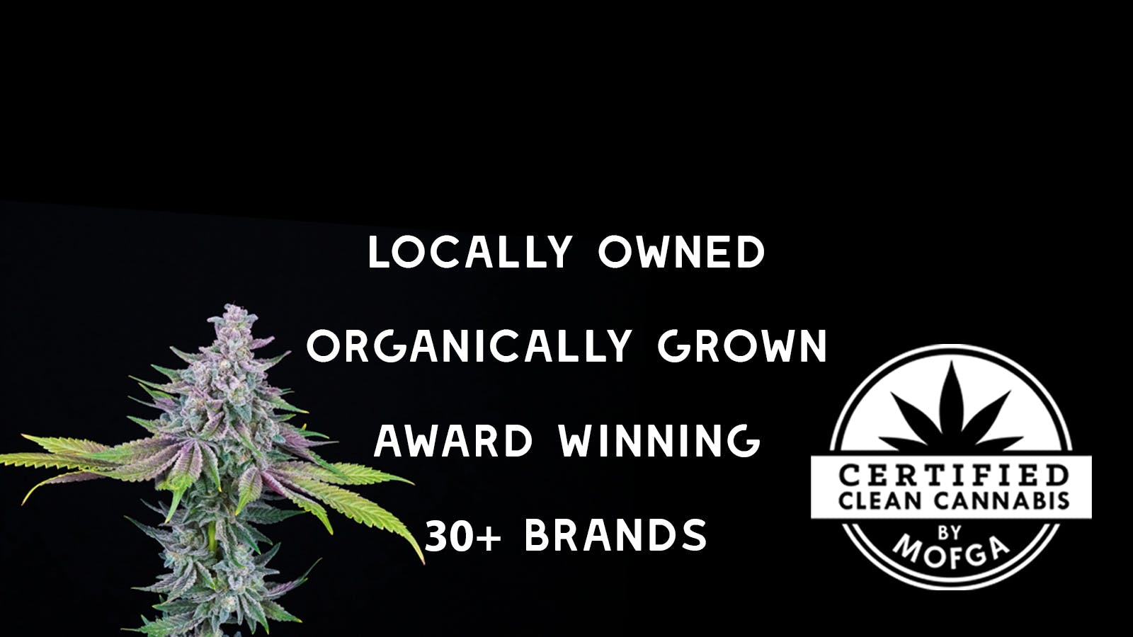 Green Xtrax listing banner