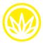 San Diego Recreational Cannabis - La Jolla