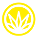 Cannabis 21+ La Jolla