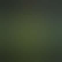 Paradise Cannabis - Welland