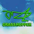 Grasshopper [Chula Vista]
