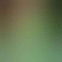 HOUSE OF DANK CENTER LINE REC