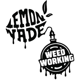 Lemonnade Van Nuys
