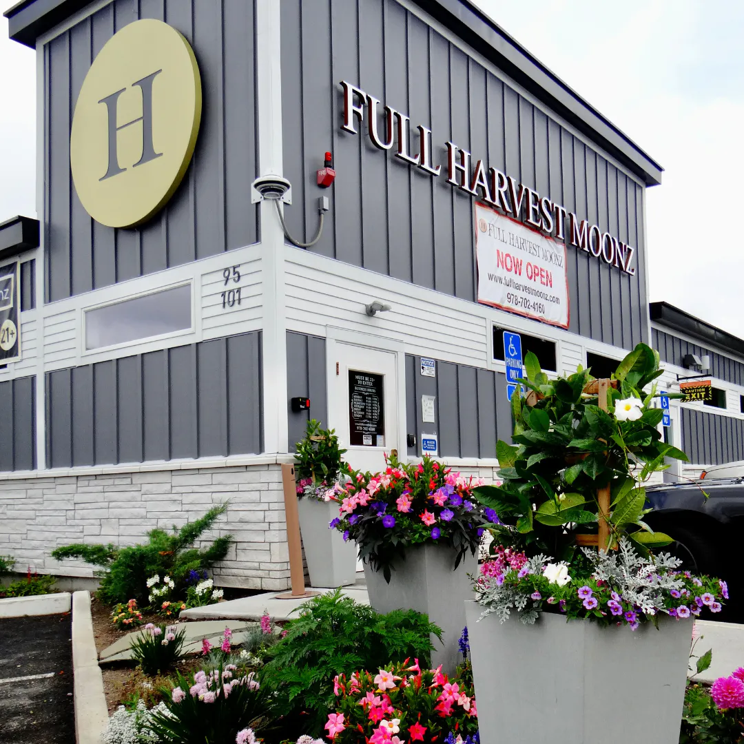 Full Harvest Moonz - Haverhill