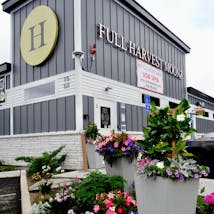 Full Harvest Moonz - Haverhill