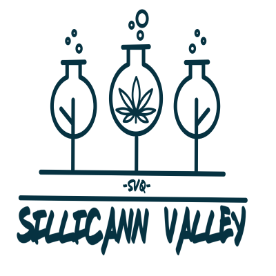 Sillicann Valley