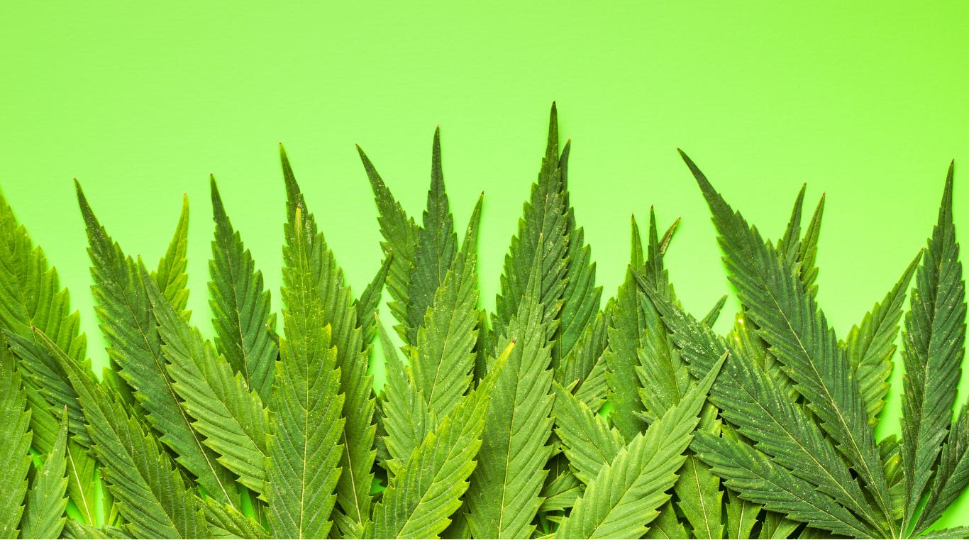 Grass Roots listing banner