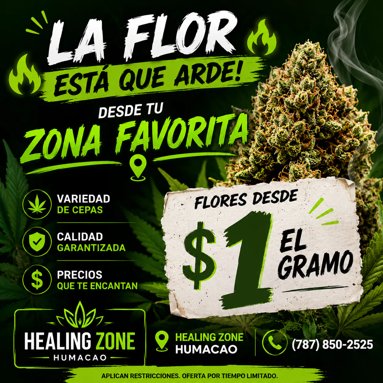Healing Zone - Humacao listing banner