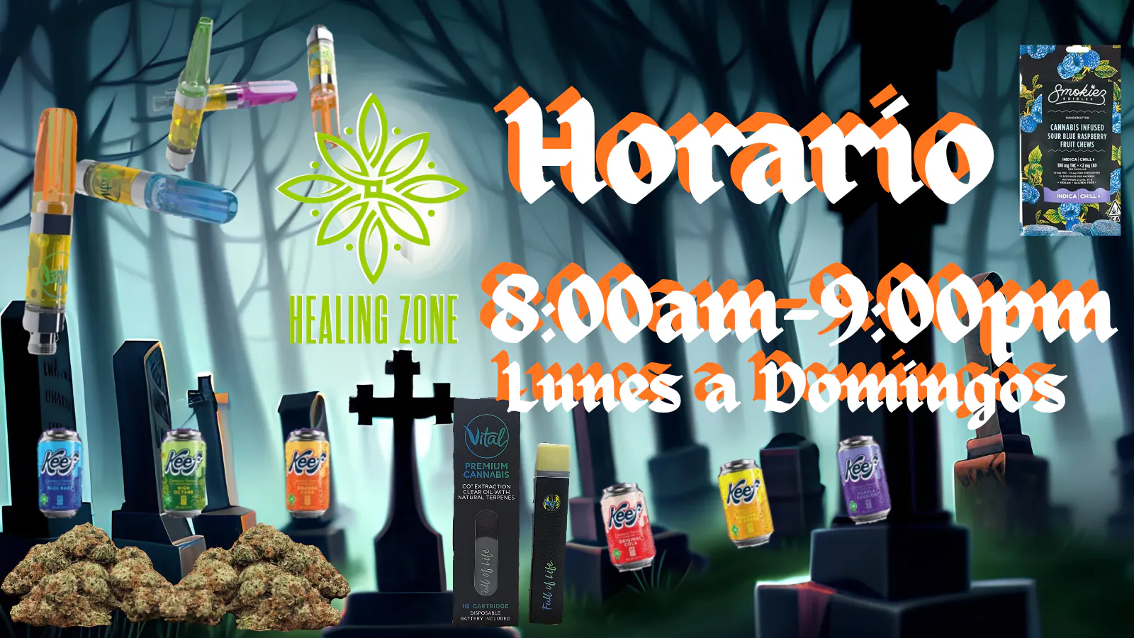 Healing Zone - Humacao listing banner