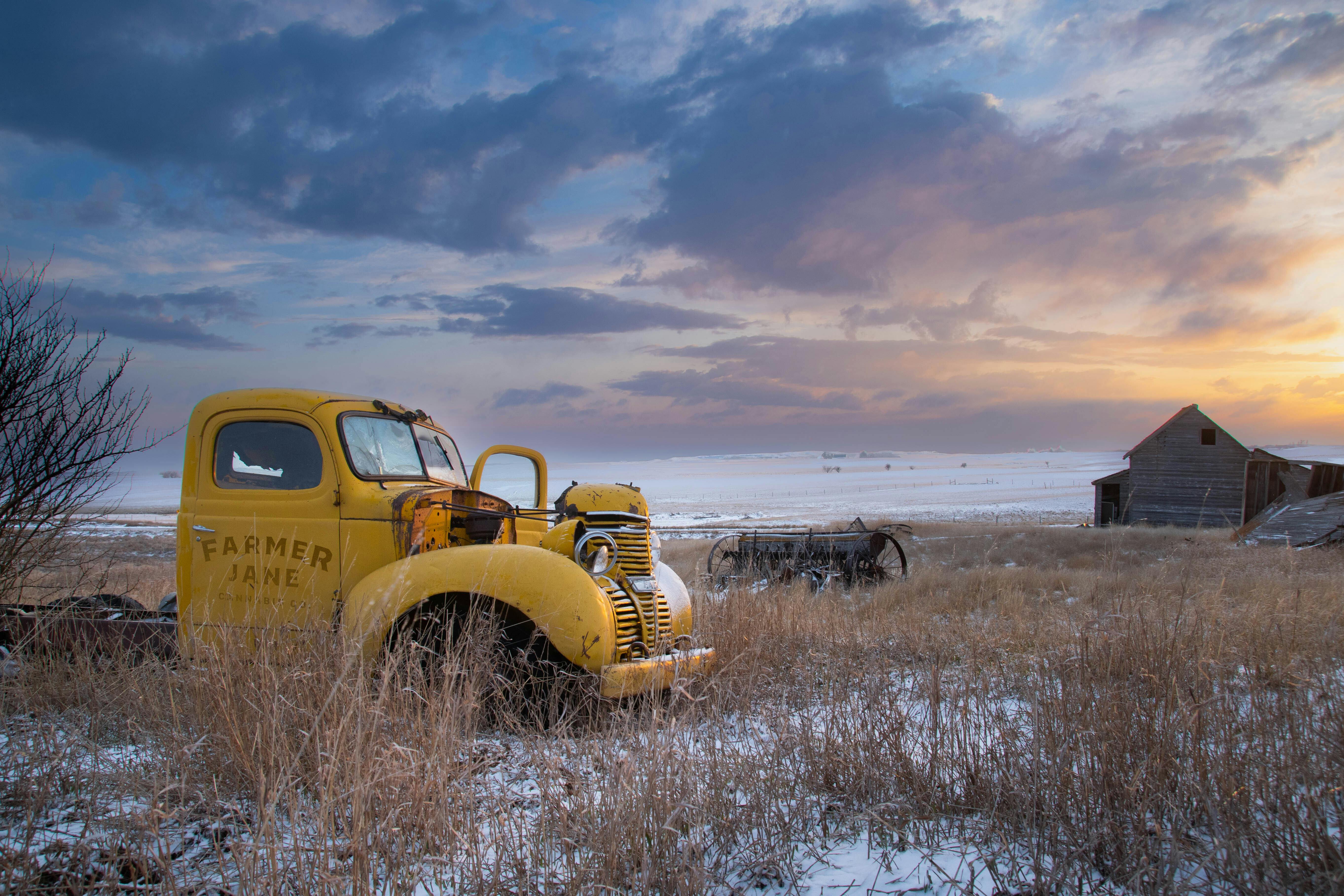 Farmer Jane Cannabis Co. - Normanview listing banner