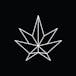 ShinyBud - Orillia