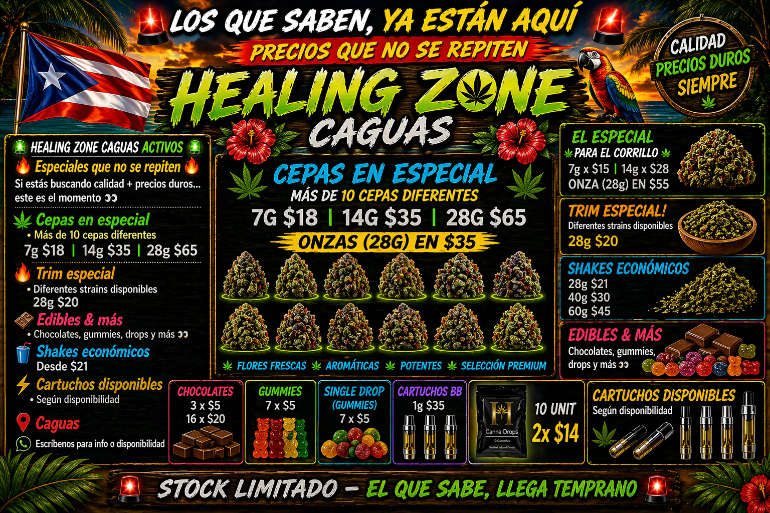 Healing Zone - Caguas listing banner