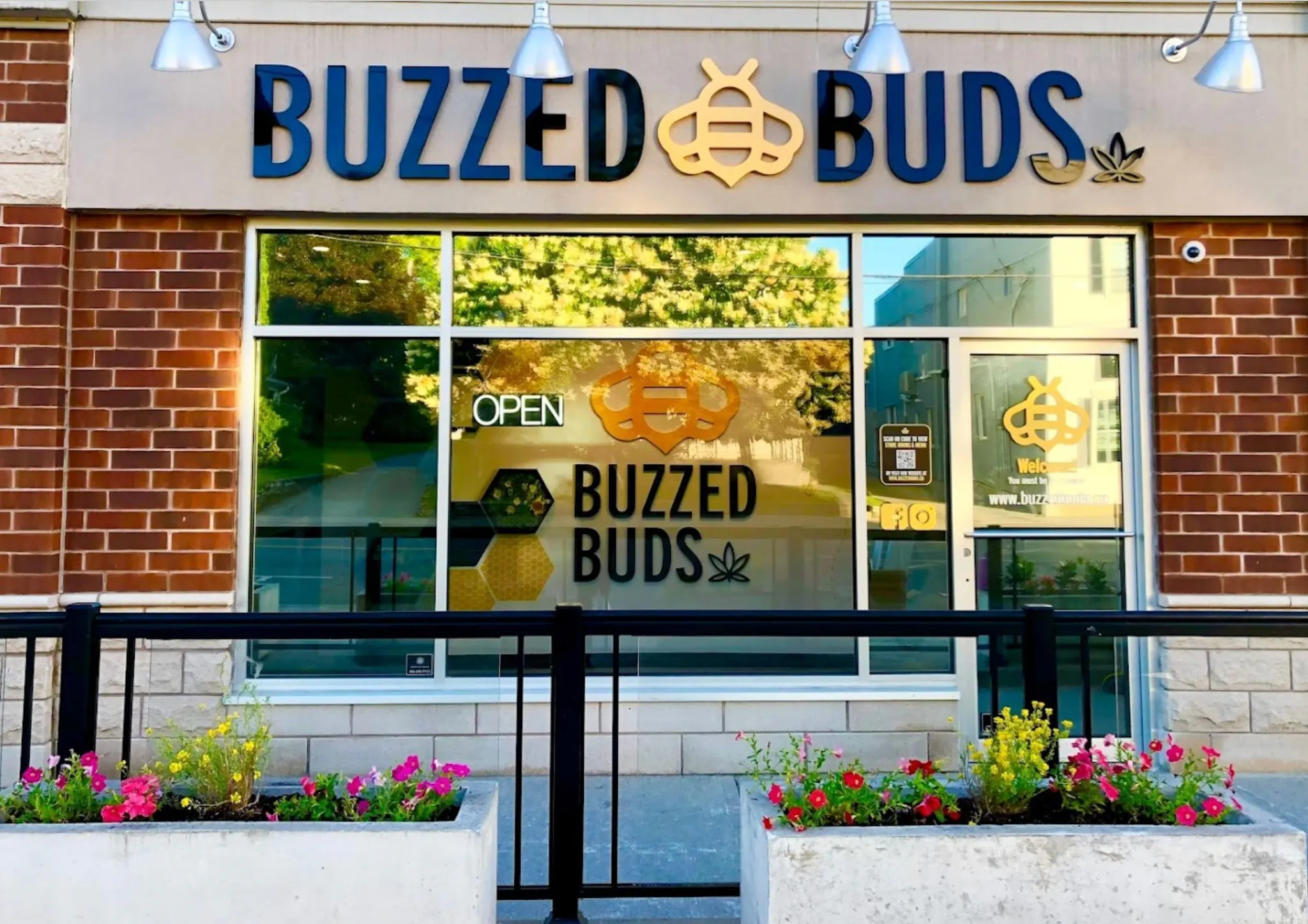Buzzed Buds listing banner