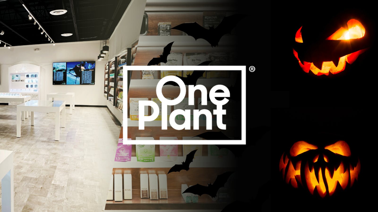 One Plant Goleta listing banner