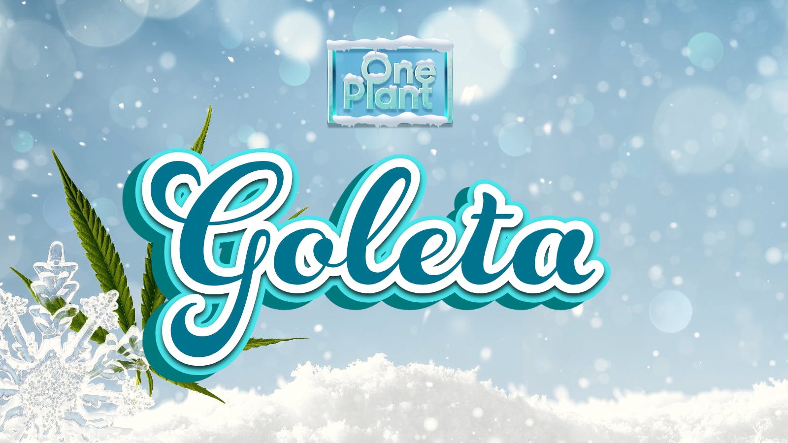 One Plant Goleta listing banner