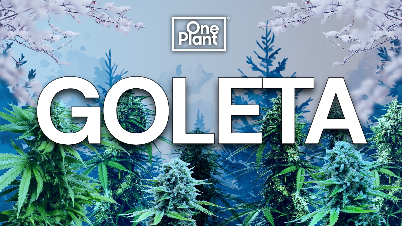 One Plant Goleta listing banner