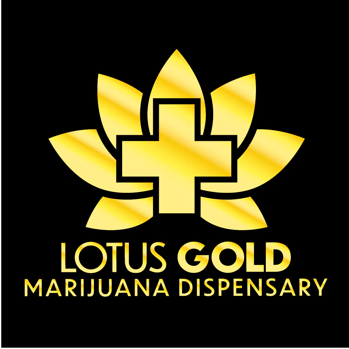 Lotus Gold - Enid - 24 Hours