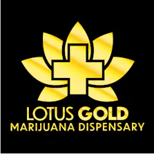 Lotus Gold - Enid - 24 Hours