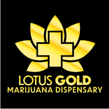 Lotus Gold - Enid - 24 Hours
