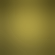Lotus Gold - Enid - 24 Hours