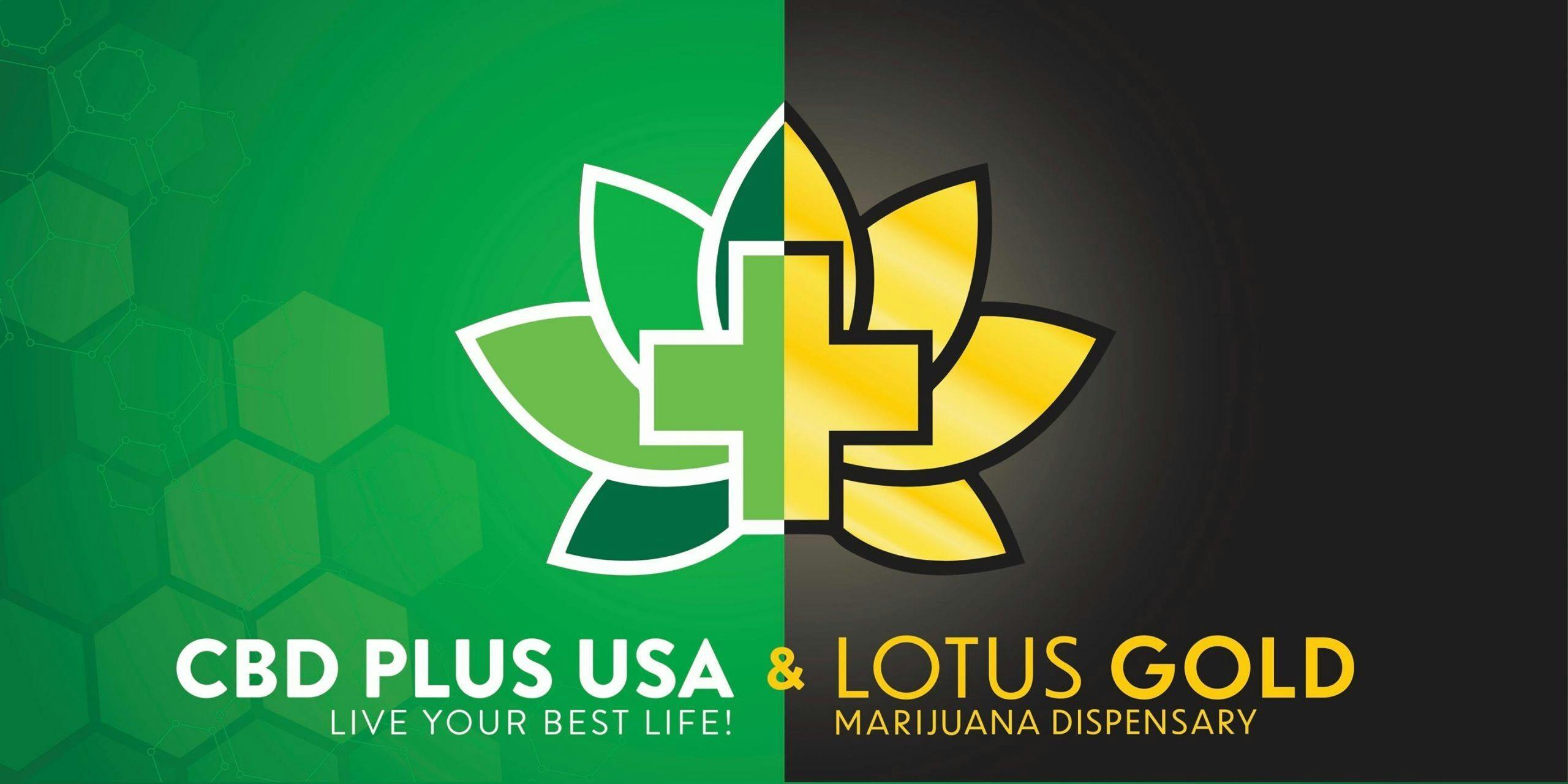 Lotus Gold - Enid - 24 Hours listing banner