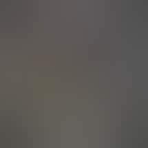 Cannabis Cured - Portland