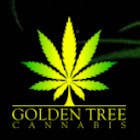 Golden Tree Cannabis