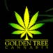Golden Tree Cannabis Weed Dispensary Brampton