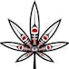 The Kure Cannabis Society - Deroche