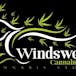 Windswept Cannabis
