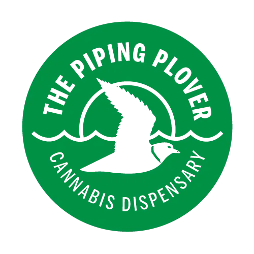 The Piping Plover
