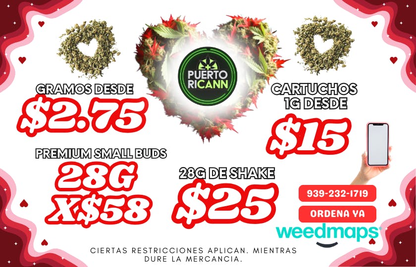 Puertoricann listing banner