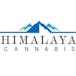 Himalaya Cannabis Ltd