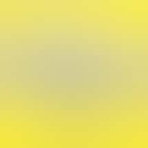 Mr Nice Guy Cannabis Marijuana and Weed dispensary - Santa Ana