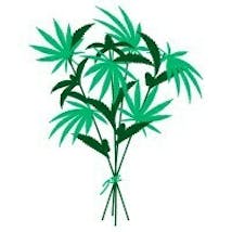 The Green Bouquet Cannabis Inc.