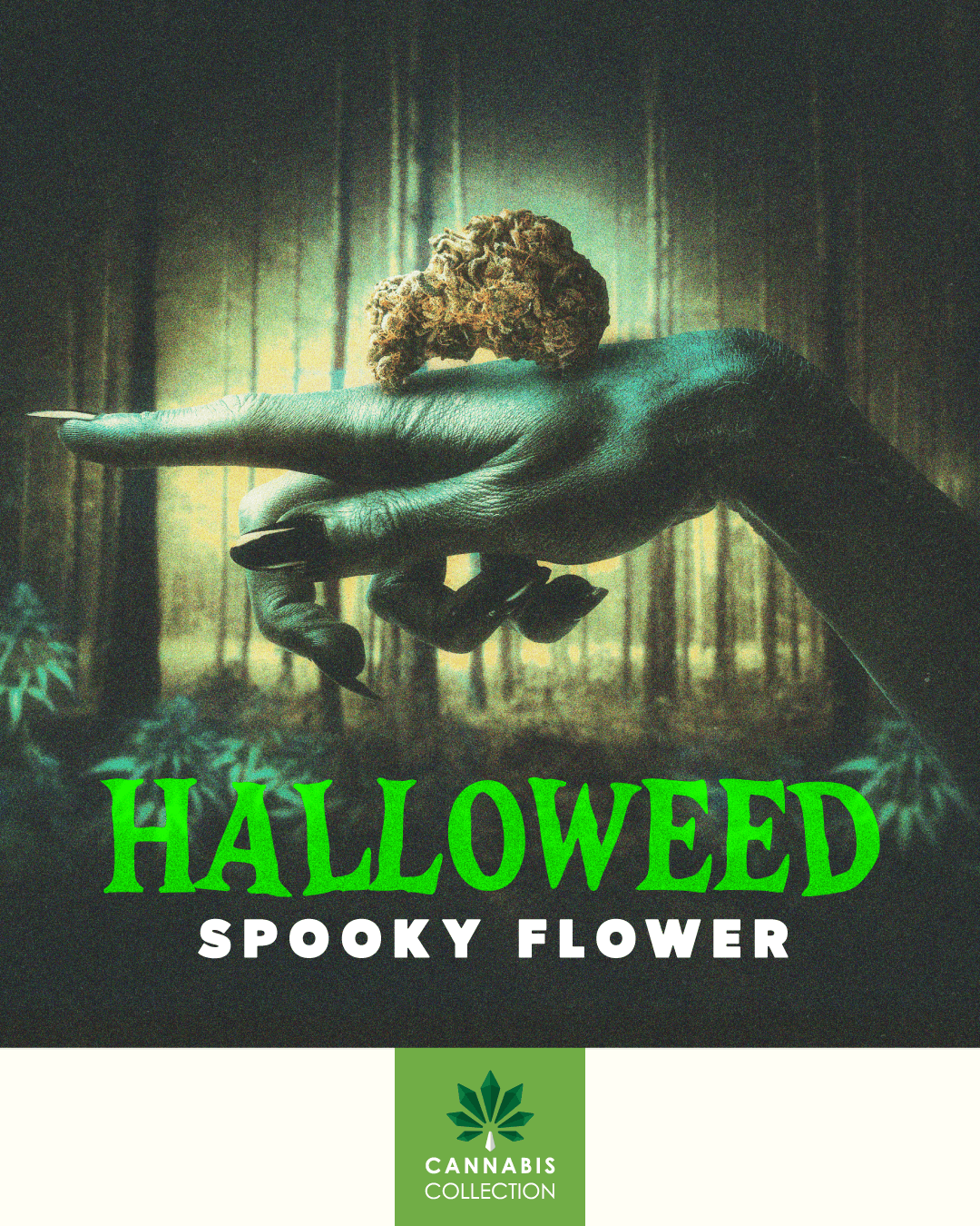 Foresta Cannabis Collection listing banner