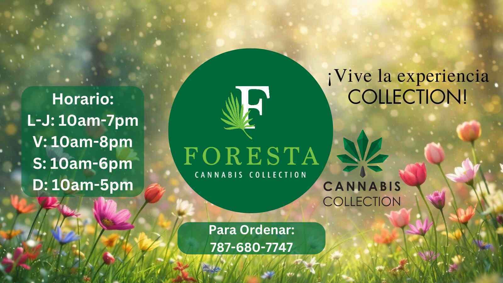 Foresta Cannabis Collection listing banner