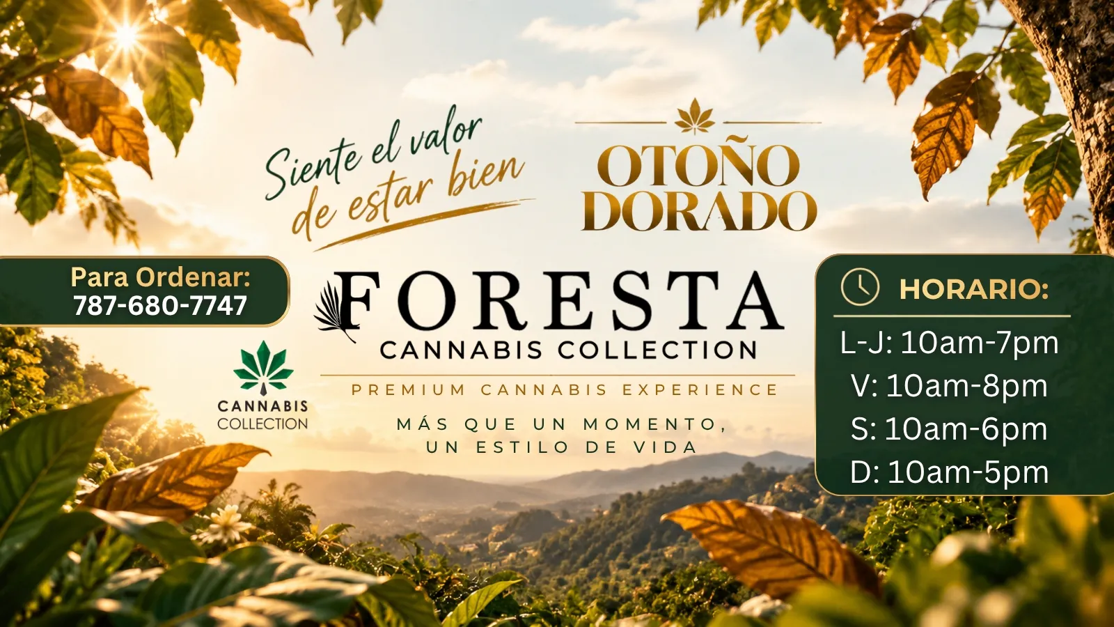 Foresta Cannabis Collection listing banner