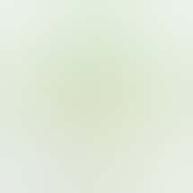 Cannabis King - Burton