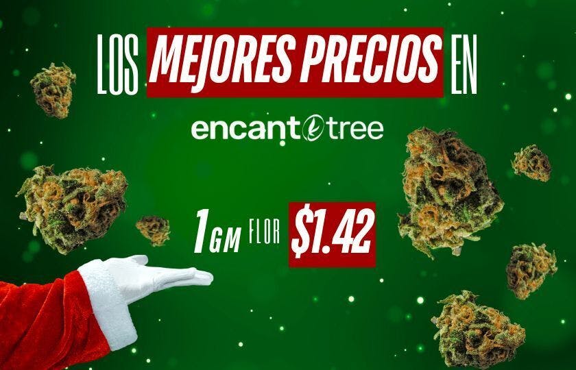 Encanto Tree - Bayamon (NOW OPEN!) listing banner