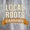 Local Roots Cannabis- Laingsburg