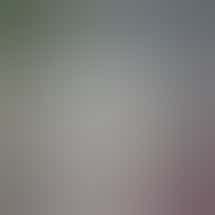 Humble Family Farms - Adult Use