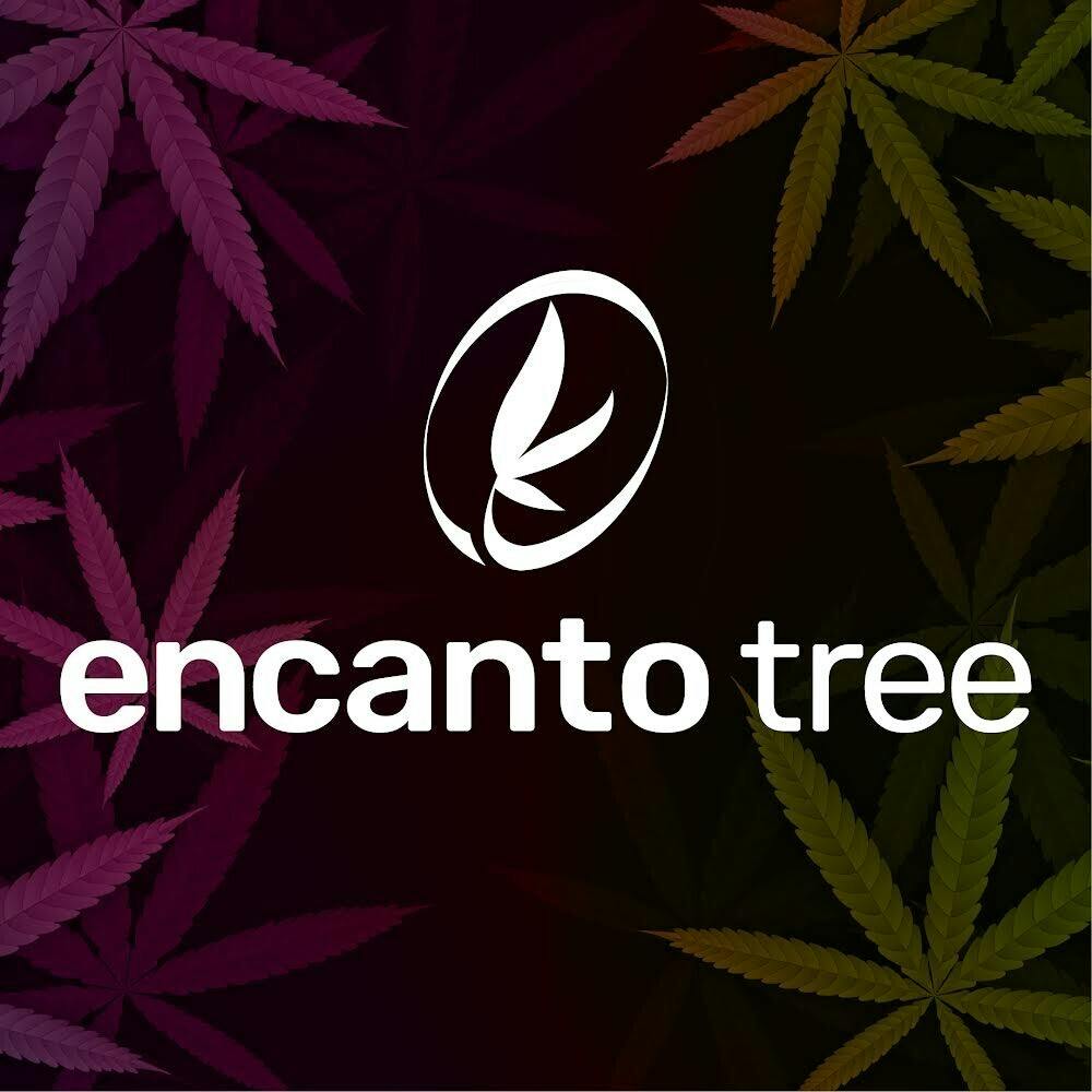 Encanto Tree - Aguadilla