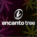 Encanto Tree - Aguadilla